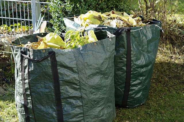 Leaf Removal In Niceville Florida