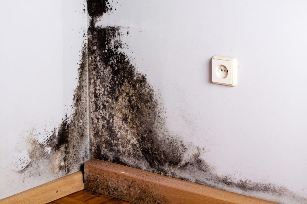 Mold Testing Las Vegas